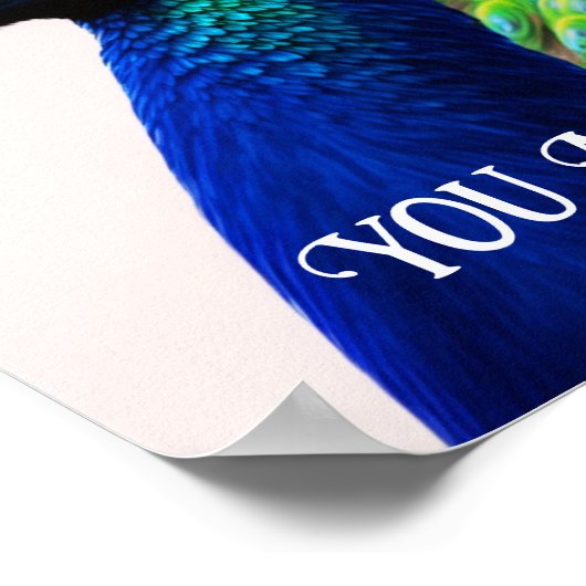 あなたは美しい孔雀の感動的引用文 ポスター (角)