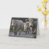 あなたは誕生日を迎える! カード (黄色い花)