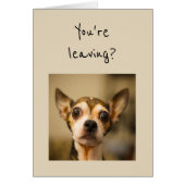 あなたは離れは？やめて！おもしろいチワフアドッグ (正面)