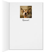 あなたは離れは？やめて！おもしろいチワフアドッグ (内側 (右))