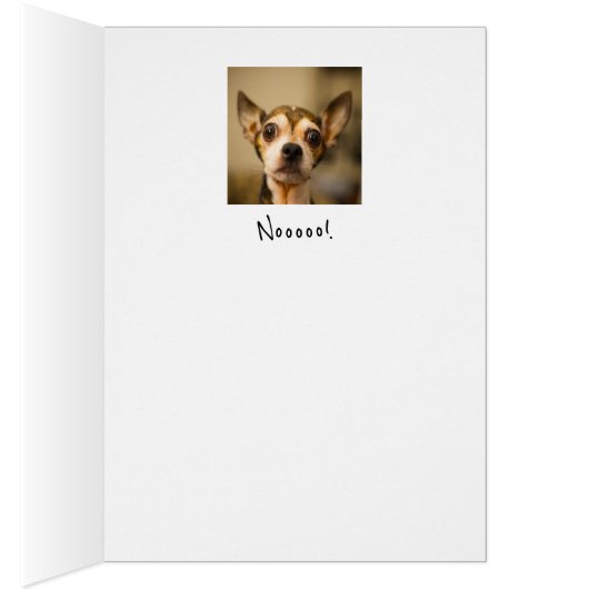 あなたは離れは？やめて！おもしろいチワフアドッグ (内側 (右))