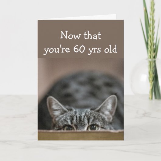 あなたは60歳の誕生日が猫を忍び寄る カード (正面)