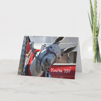 あなたは75?...lmao...ハッピーバースデー! カード