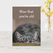 あなたは、年老いた誕生日が猫を追いかける カード (黄色い花)