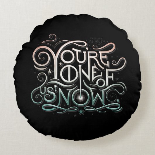 あなたは、私たちの一人が現在グラフィッカラフルク ラウンドクッション (正面)