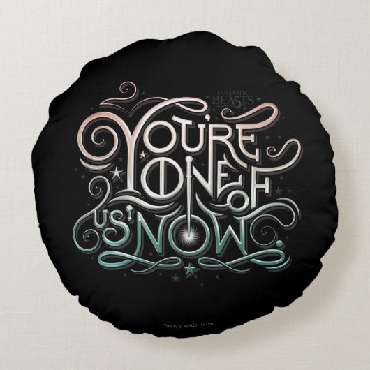 あなたは、私たちの一人が現在グラフィッカラフルク ラウンドクッション (裏面)