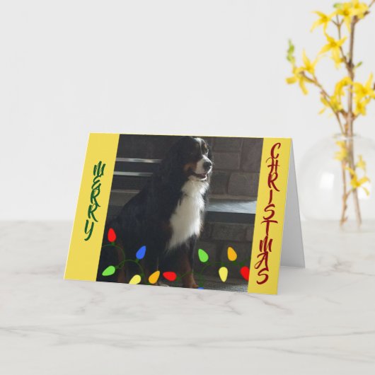 あなたは *私の人生の光* クリスマス カード (黄色い花)