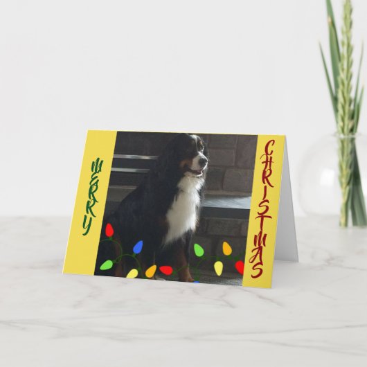 あなたは *私の人生の光* クリスマス カード (正面)