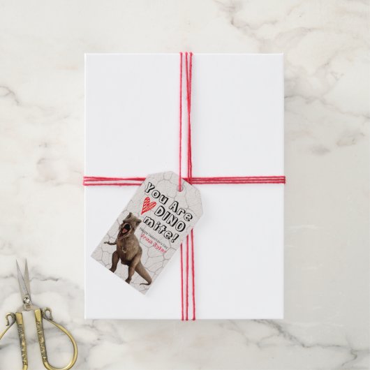 あなたはDINOmite教室バレンタインのギフトラベル ギフトタグ (より糸付き)