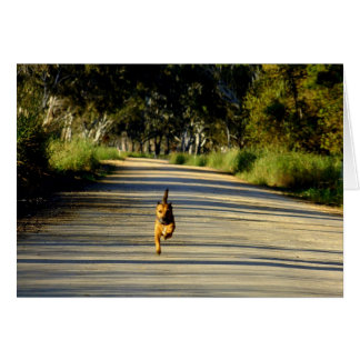 あなたへの競争!