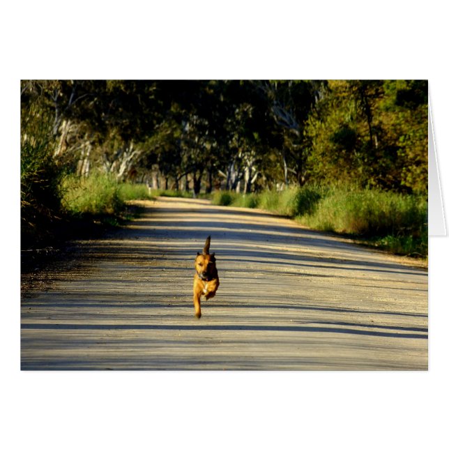 あなたへの競争! (正面横)