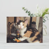あなたへの贈り物 三毛の子猫と魚のフラットカード 招待状 (スタンド正面)
