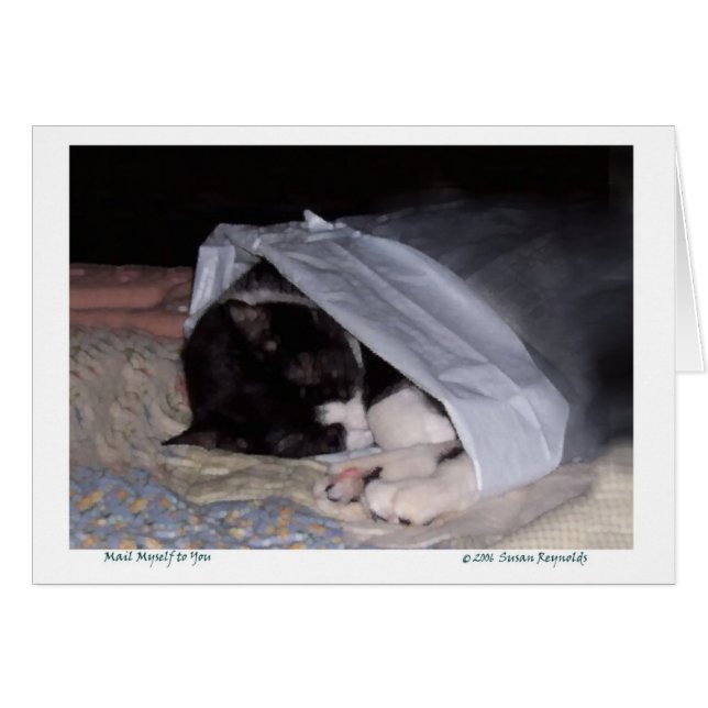 あなたへの郵便自分自身 (正面横)