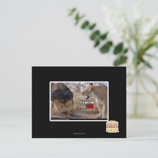 あなたよ！ ポストカード (スタンド正面)