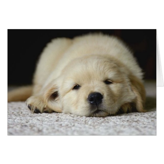 あなたを待っています (正面横)