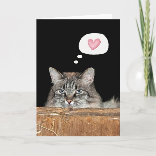 あなたを想う納屋の猫 カード (正面)
