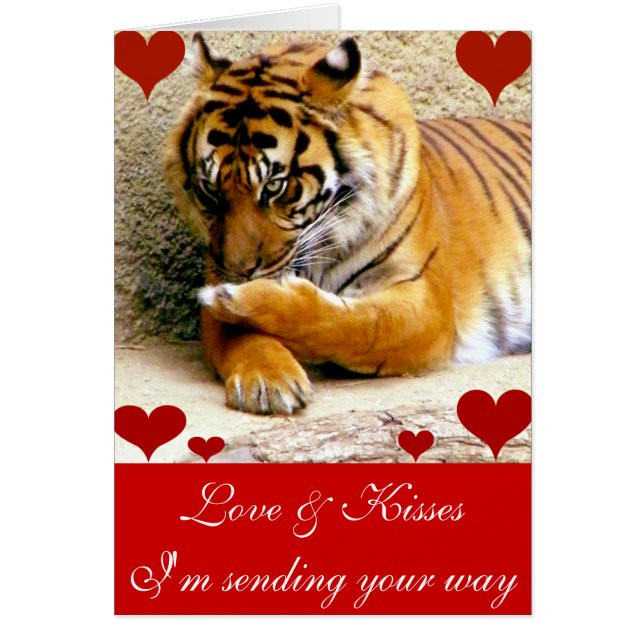 あなたを愛する_ (正面)