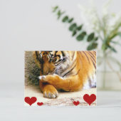 あなたを愛する_ ポストカード (スタンド正面)