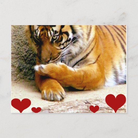 あなたを愛する_ ポストカード (正面)