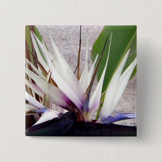 あなたを愛する_ 缶バッジ (正面)