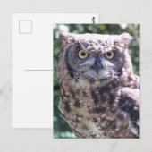 あなたを見つめてるよ! ポストカード (正面/裏面)