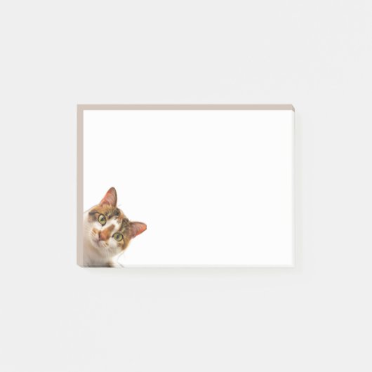 あなたを見つめるかわいい子猫の楽しい猫グッズ ポストイット (正面)