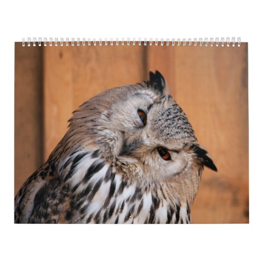 あなたを見ている動物 カレンダー (カバー)