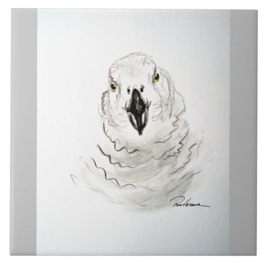 あなたを見てオウム。.... タイル (正面)