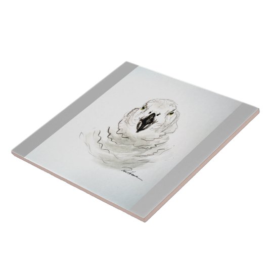 あなたを見てオウム。.... タイル (側面)