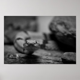 あなたを見て ポスター