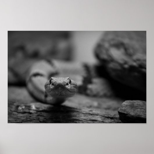 あなたを見て ポスター (正面)