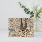 あなたを見て ポストカード (スタンド正面)