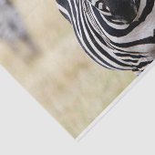 あなたを見るゼブラ 薄葉紙 (詳細)