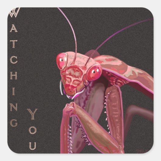 あなたを見る – ピンクのバージョン スクエアシール (正面)