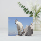 あなたを見る ポストカード (スタンド正面)