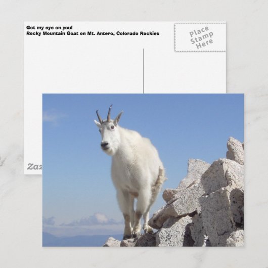 あなたを見る ポストカード (正面/裏面)