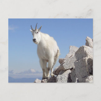 あなたを見る ポストカード