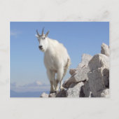 あなたを見る ポストカード (正面)