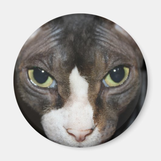 あなたを見詰める マグネット (正面)