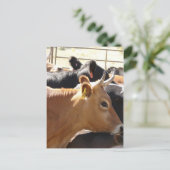 あなたモーに ポストカード (スタンド正面)