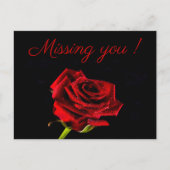 あなた恋しく思のロマンチックな赤いバラの写真パーソナライズされた ポストカード (正面)