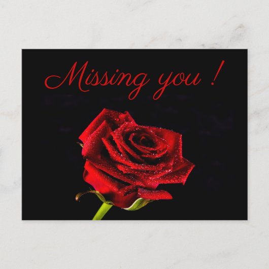 あなた恋しく思のロマンチックな赤いバラの写真パーソナライズされた ポストカード (正面)