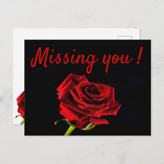 あなた恋しく思のロマンチックな赤いバラの葉書 ポストカード (正面/裏面)