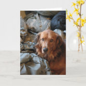 あなた恋しく思軍の犬カード カード (黄色い花)