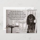 あなた恋しく思:カヴァリエKIngチャールズスパニエル犬カード ポストカード (正面/裏面)