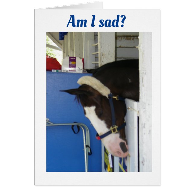 あなた方に対して*ハッピーバースデー*を直接申し上げたい (正面)