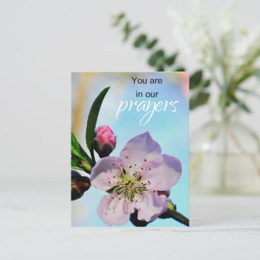 あなた方は私達の祈りの言葉教会の集会にいる ポストカード (スタンド正面)