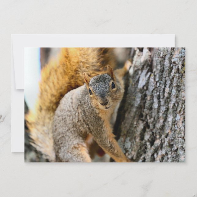 あなた来の (正面)