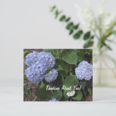 あなた考えについてハイビスカスパープルの花 ポストカード (スタンド正面)