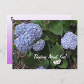 あなた考えについてハイビスカスパープルの花 ポストカード (正面/裏面)